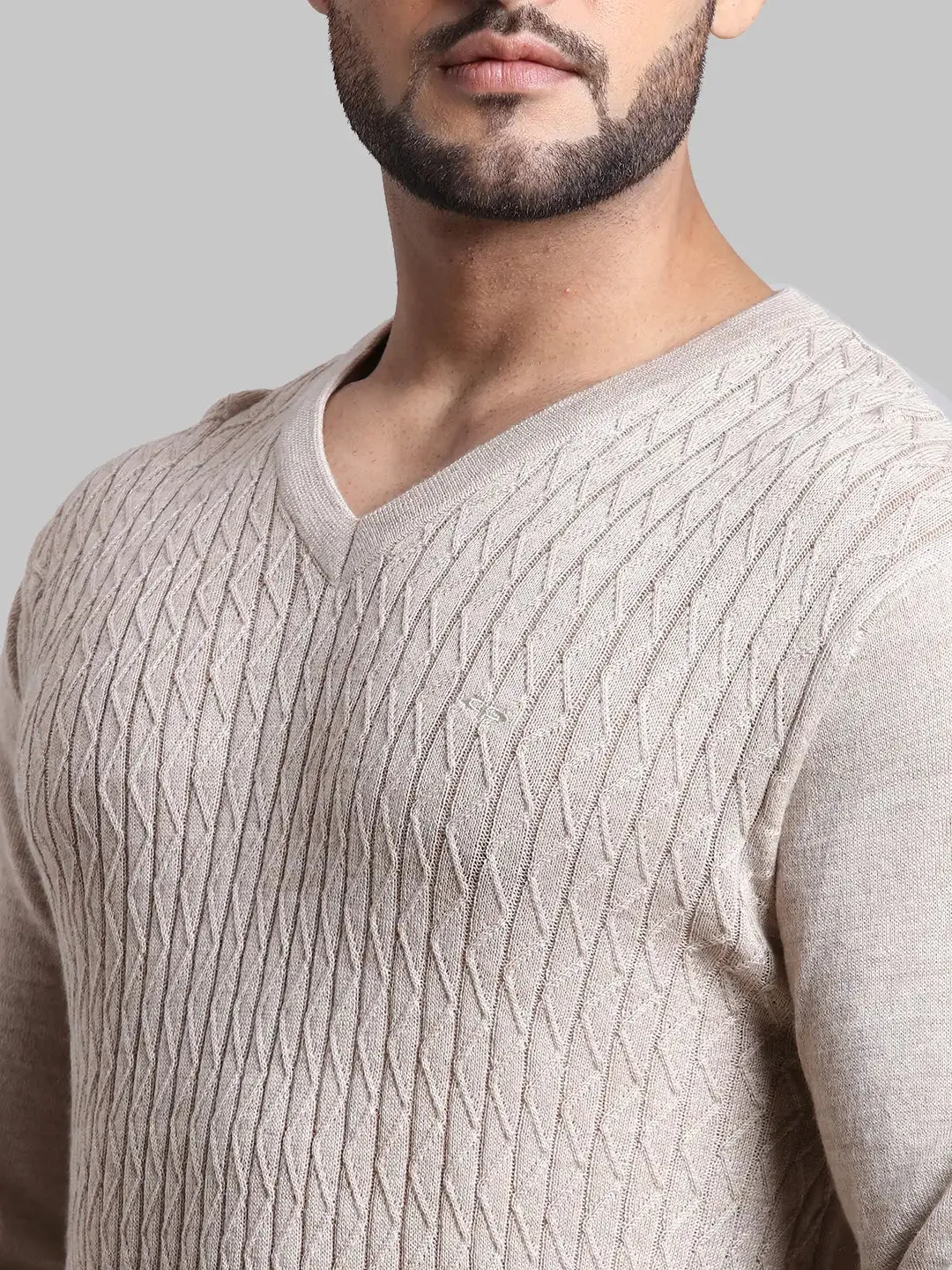 Men Fawn Tailored Fit Jacquard Acrylic Wool Blend Full Sleeve V Neck Collar Sweaters