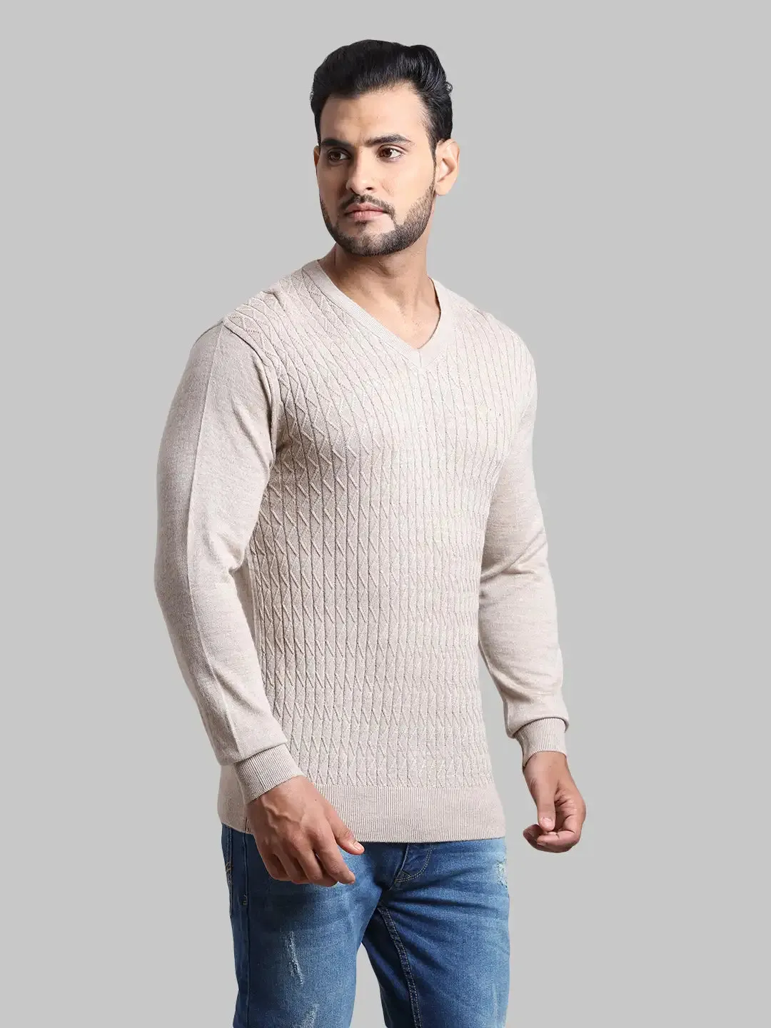 Men Fawn Tailored Fit Jacquard Acrylic Wool Blend Full Sleeve V Neck Collar Sweaters