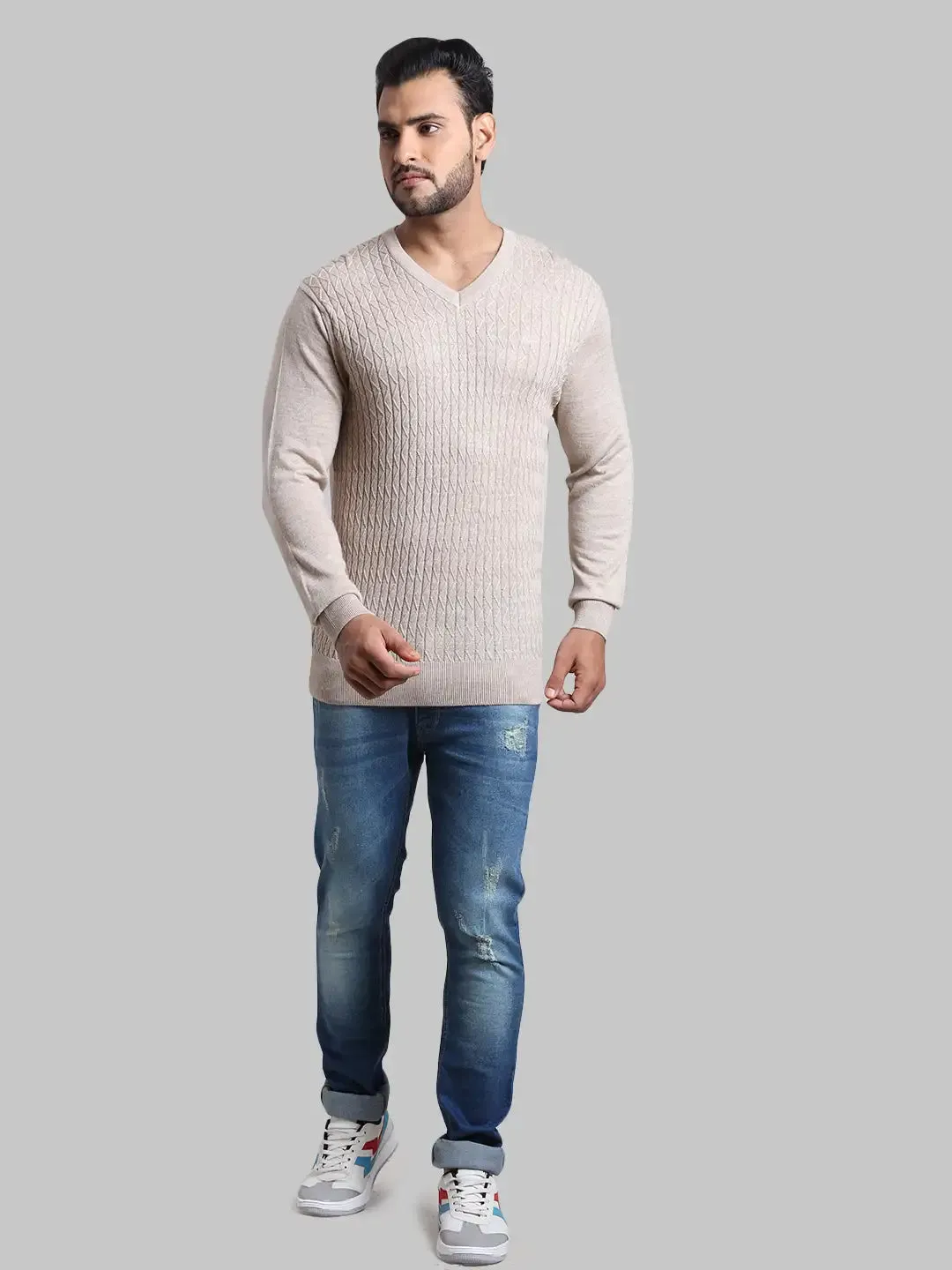 Men Fawn Tailored Fit Jacquard Acrylic Wool Blend Full Sleeve V Neck Collar Sweaters
