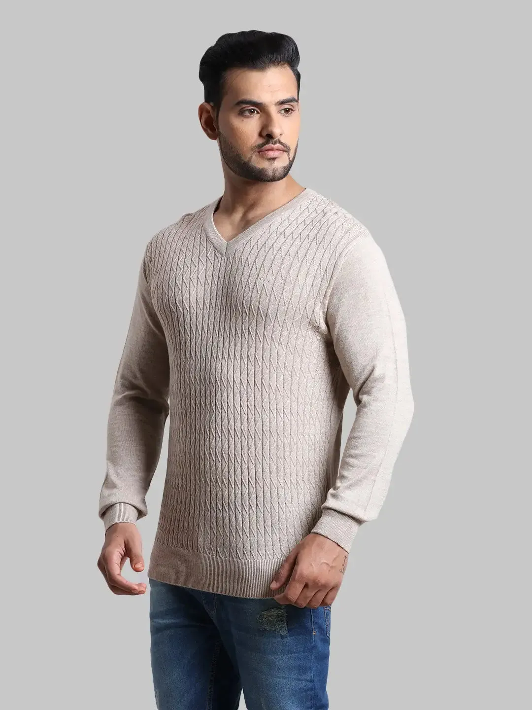 Men Fawn Tailored Fit Jacquard Acrylic Wool Blend Full Sleeve V Neck Collar Sweaters