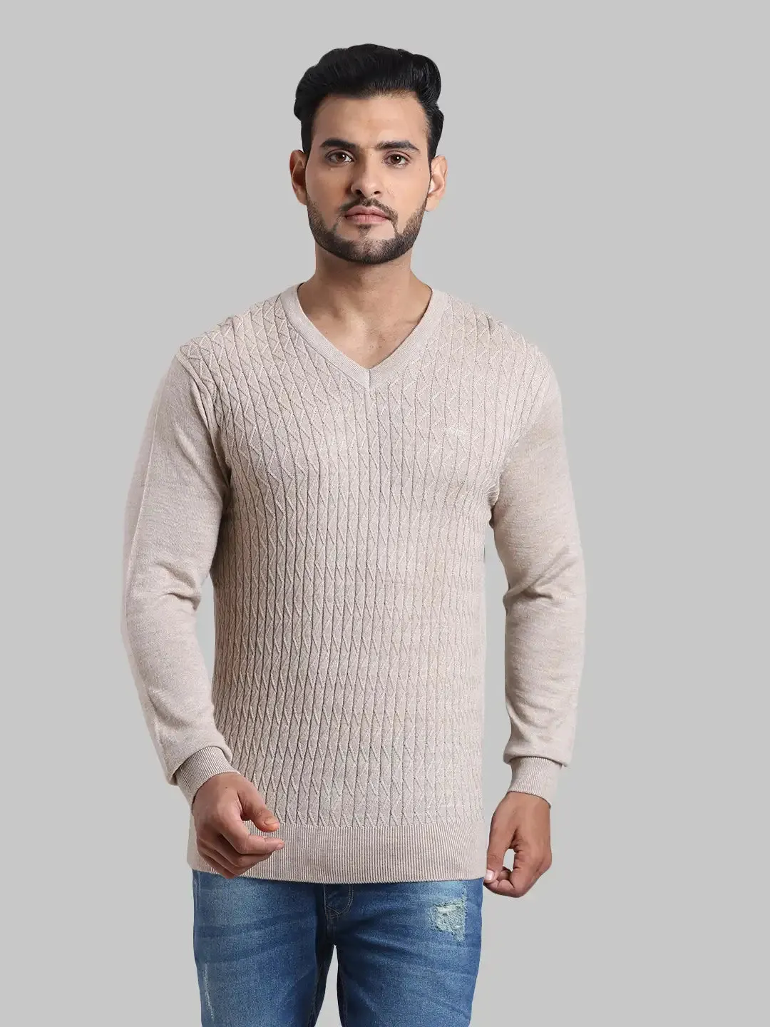 Men Fawn Tailored Fit Jacquard Acrylic Wool Blend Full Sleeve V Neck Collar Sweaters
